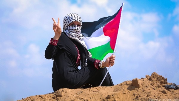 Movimentos Pro Palestina