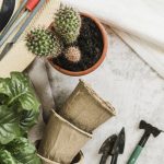 Nomes atelier paisagismo
