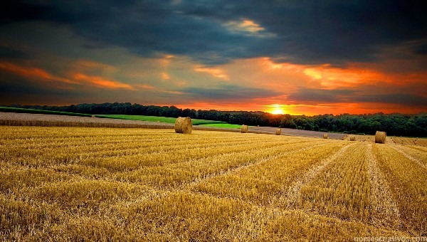 Nomes terrenos agricolas