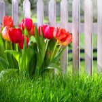Nomes empresas jardinagem