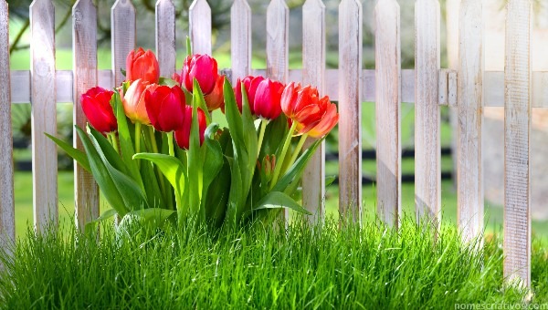 Nomes empresas jardinagem