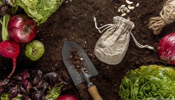 Nomes hortas organicas