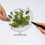 Nomes conceito ecologia