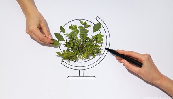 Nomes conceito ecologia