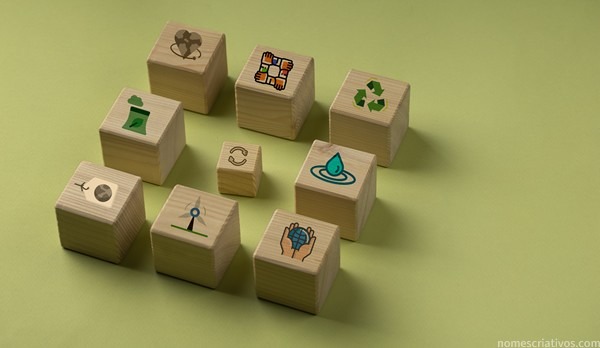 Nomes.empreses responsabilidade social