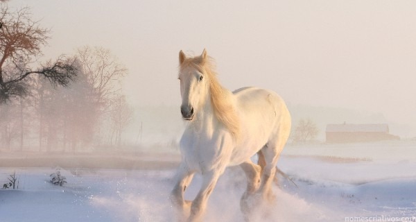 Nomes cavalos brancos