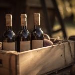 150 Nomes Criativos para Garrafeiras Nomes garrafeiras