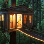 75 Nomes Criativos para Casas da Árvore Nomes Casas Arvore