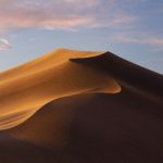 75 Nomes Criativos para Dunas Nomes Dunas