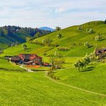 75 Nomes Criativos para Fazendas Nomes Fazendas
