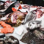 75 Nomes Criativos para Peixarias Nomes peixaria