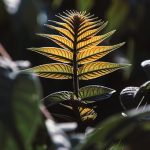 75 Nomes Criativos para Projetos de Conservação Nomes projetos conservacao