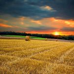 75 Nomes Criativos para Terrenos Agrícolas Nomes terrenos agricolas