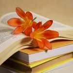 75 Nomes Criativos para Clubes de Letras Nomes clubes letras