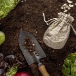 75 Nomes Criativos para Hortas Orgânicas Nomes hortas organicas