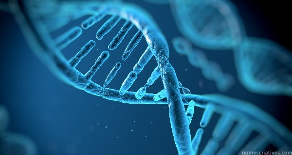 Nomes genetica