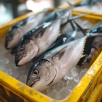 75 Nomes Criativos para Empresas de Pesca Nomes empresas pesca