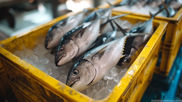 Nomes empresas pesca